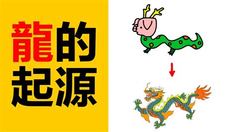 龍造詞